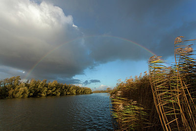 BUITEN BEELD Foto: 286444