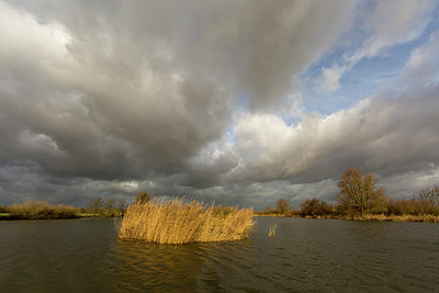 BUITEN BEELD Foto: 286450