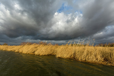 BUITEN BEELD Foto: 286451