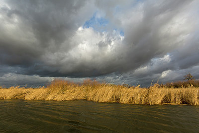 BUITEN BEELD Foto: 286452
