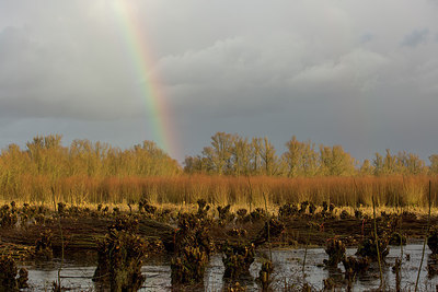 BUITEN BEELD Foto: 286454