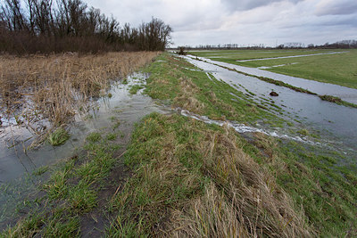 BUITEN BEELD Foto: 286456