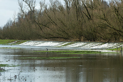 BUITEN BEELD Foto: 286462