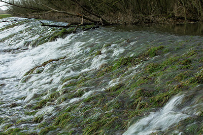 BUITEN BEELD Foto: 286464