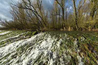 BUITEN BEELD Foto: 286467