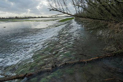 BUITEN BEELD Foto: 286469