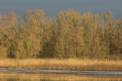 BUITEN BEELD Foto: 286471