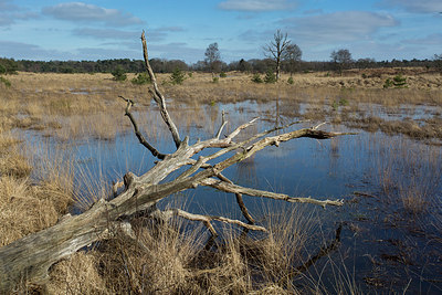 BUITEN BEELD Foto: 286474