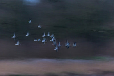 BUITEN BEELD Foto: 286485
