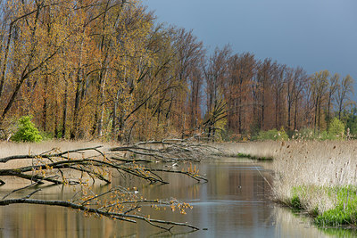 BUITEN BEELD Foto: 286486