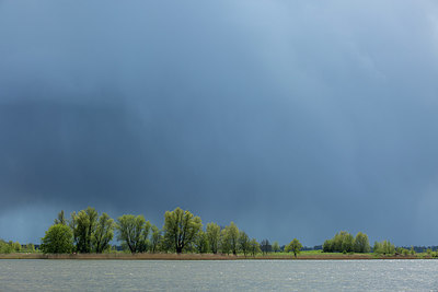 BUITEN BEELD Foto: 286488