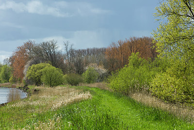 BUITEN BEELD Foto: 286489