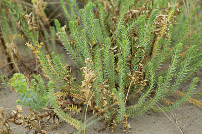 BUITEN BEELD Foto: 286495