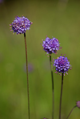 BUITEN BEELD Foto: 286521