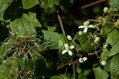 BUITEN BEELD Foto: 286524