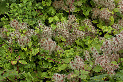 BUITEN BEELD Foto: 286529