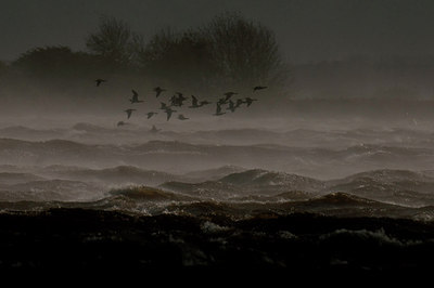 BUITEN BEELD Foto: 286532