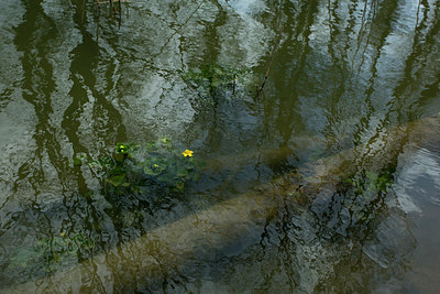 BUITEN BEELD Foto: 286533