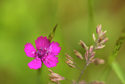 BUITEN BEELD Foto: 286555