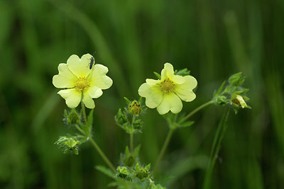 BUITEN BEELD Foto: 286560