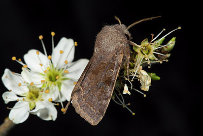 BUITEN BEELD Foto: 286599