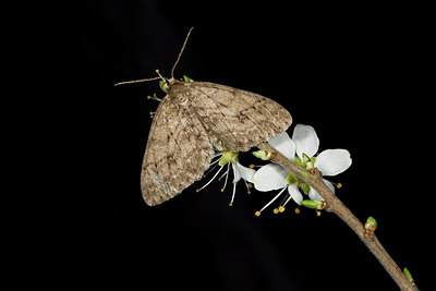 BUITEN BEELD Foto: 286601