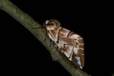 BUITEN BEELD Foto: 286614
