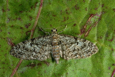BUITEN BEELD Foto: 286640
