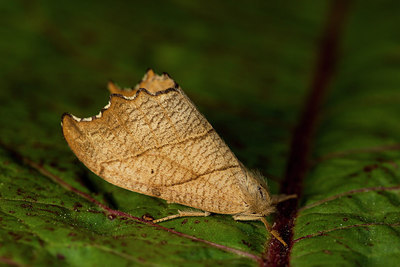 BUITEN BEELD Foto: 286641