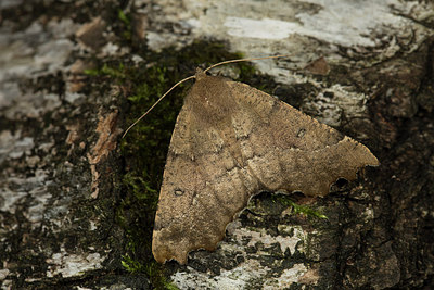 BUITEN BEELD Foto: 286671