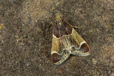 BUITEN BEELD Foto: 286679