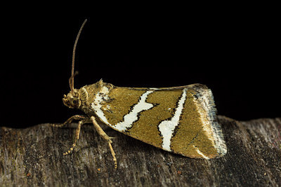 BUITEN BEELD Foto: 286690
