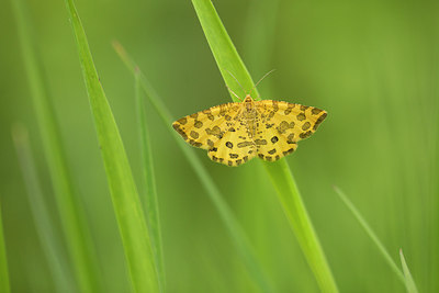 BUITEN BEELD Foto: 286700