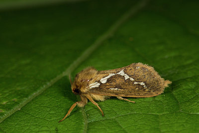 BUITEN BEELD Foto: 286712