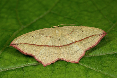 BUITEN BEELD Foto: 286722