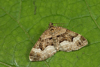 BUITEN BEELD Foto: 286725