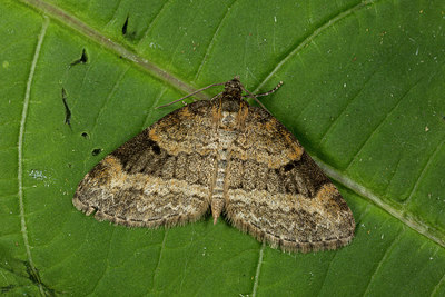 BUITEN BEELD Foto: 286743