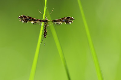 BUITEN BEELD Foto: 286750