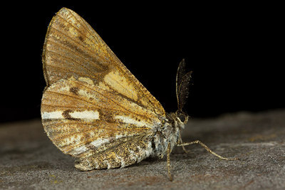 BUITEN BEELD Foto: 286754