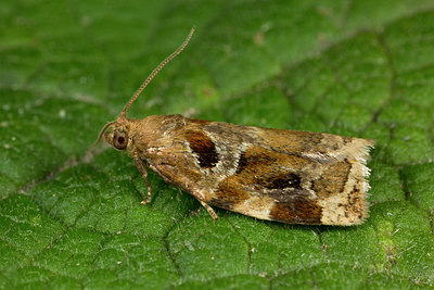 BUITEN BEELD Foto: 286761