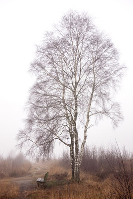 BUITEN BEELD Foto: 286767
