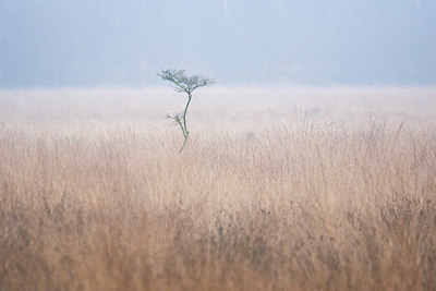 BUITEN BEELD Foto: 286776