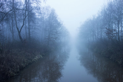 BUITEN BEELD Foto: 286778
