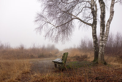 BUITEN BEELD Foto: 286782