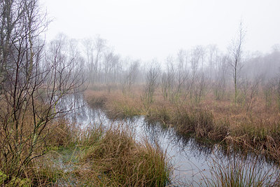 BUITEN BEELD Foto: 286798