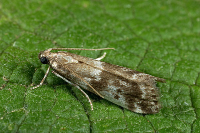 BUITEN BEELD Foto: 286808