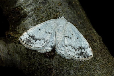 BUITEN BEELD Foto: 286809