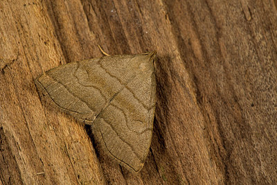 BUITEN BEELD Foto: 286838