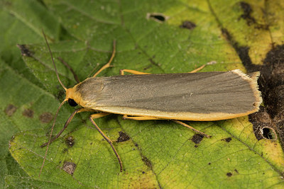 BUITEN BEELD Foto: 286844