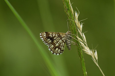 BUITEN BEELD Foto: 286855